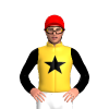 Jockey Silk