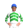 Jockey Silk