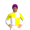 Jockey Silk
