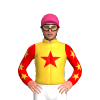 Jockey Silk
