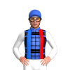 Jockey Silk