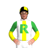 Jockey Silk