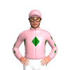 Jockey Silk