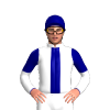 Jockey Silk