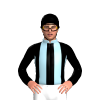 Jockey Silk