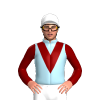 Jockey Silk