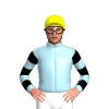 Jockey Silk