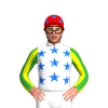 Jockey Silk