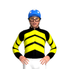 Jockey Silk