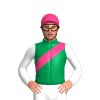 Jockey Silk