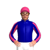 Jockey Silk