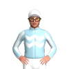 Jockey Silk