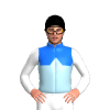 Jockey Silk