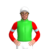 Jockey Silk