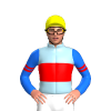 Jockey Silk