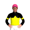 Jockey Silk