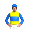 Jockey Silk
