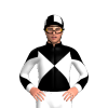 Jockey Silk