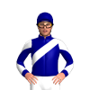 Jockey Silk