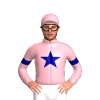 Jockey Silk