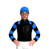 Jockey Silk