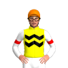 Jockey Silk