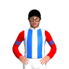 Jockey Silk
