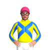 Jockey Silk