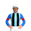 Jockey Silk