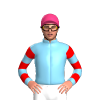 Jockey Silk