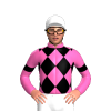 Jockey Silk
