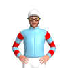 Jockey Silk