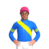 Jockey Silk