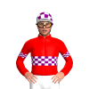 Jockey Silk