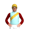 Jockey Silk