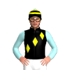 Jockey Silk