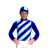 Jockey Silk