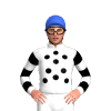 Jockey Silk