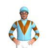 Jockey Silk
