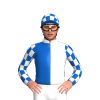 Jockey Silk