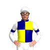 Jockey Silk