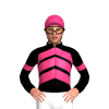 Jockey Silk
