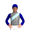 Jockey Silk