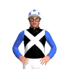 Jockey Silk