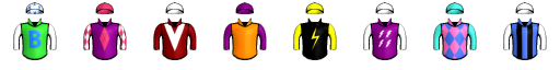 Runner silk