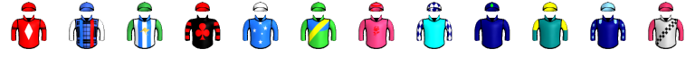 Runner silk