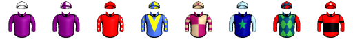 Runner silk