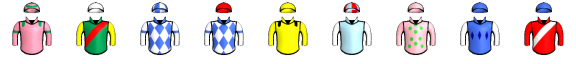 Runner silk