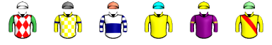 Runner silk
