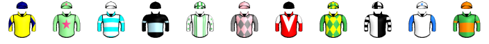 Runner silk